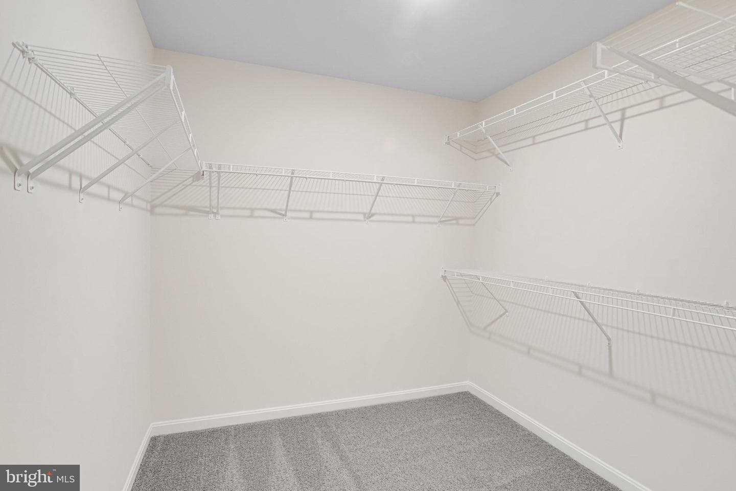 2804 White Tail Drive photo 23