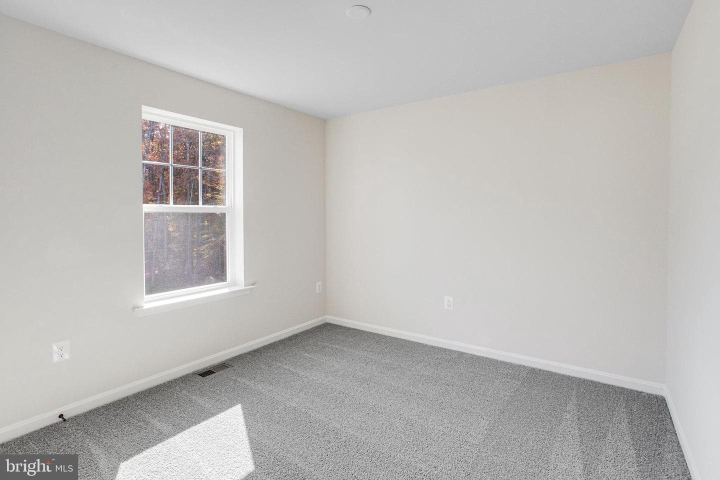 2804 White Tail Drive photo 30