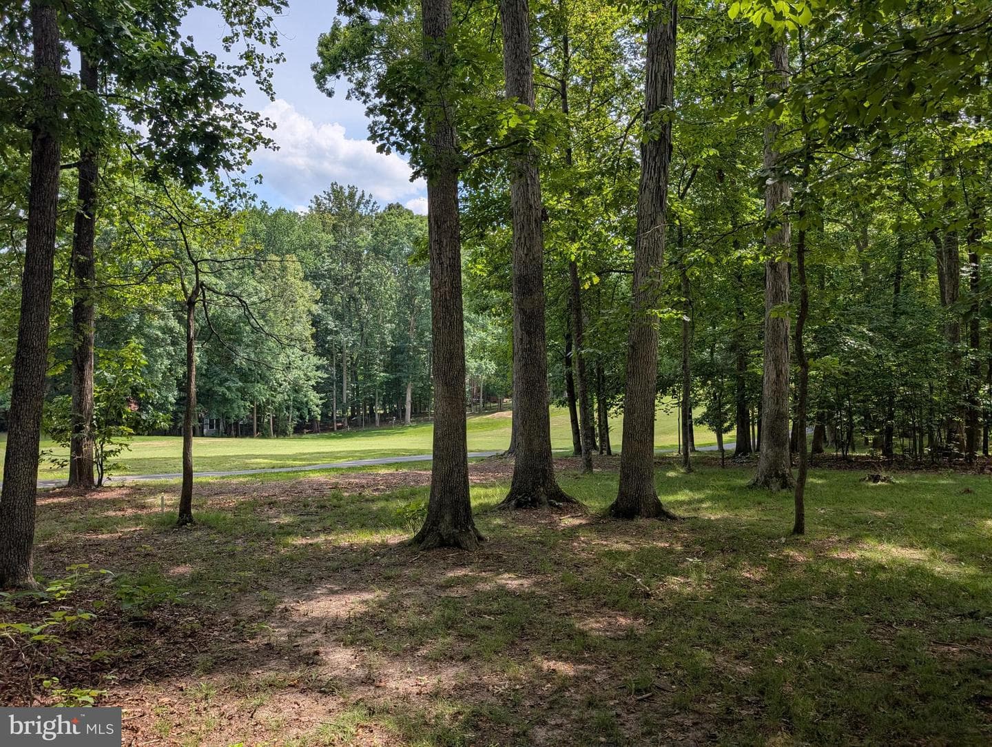 102 Marble Court photo 46