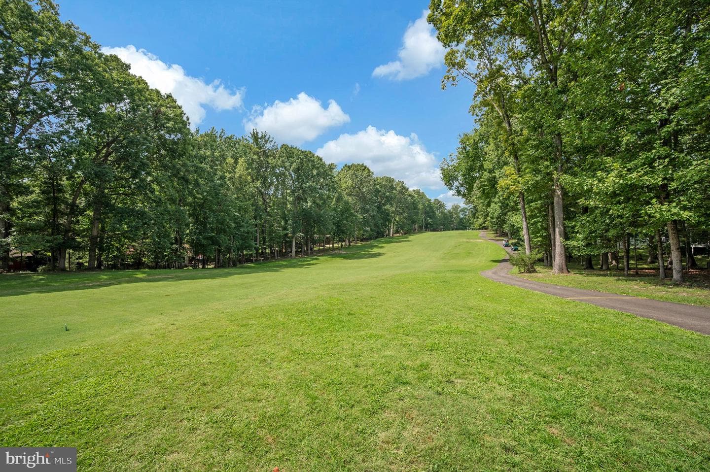102 Marble Court photo 47