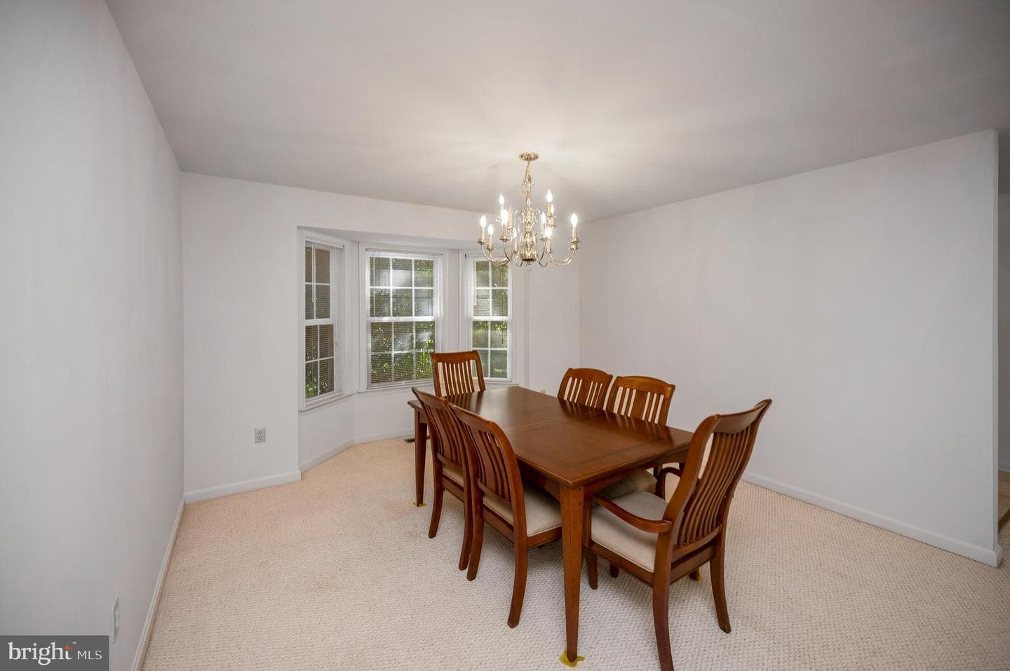 103 Tall Pines Avenue photo 15