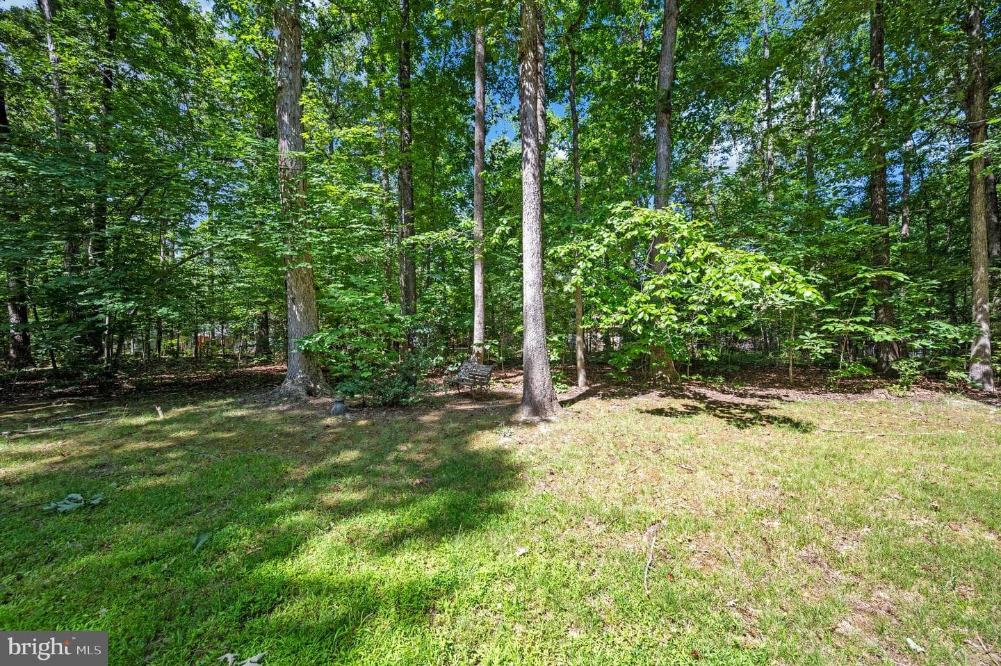 103 Tall Pines Avenue photo 35