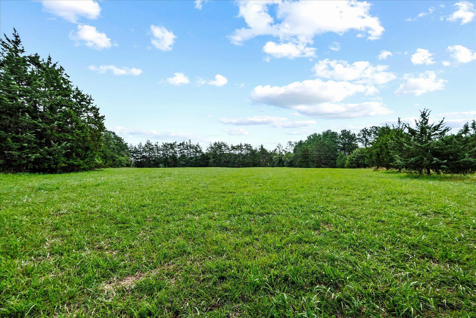 31934 Indiantown Road photo 65