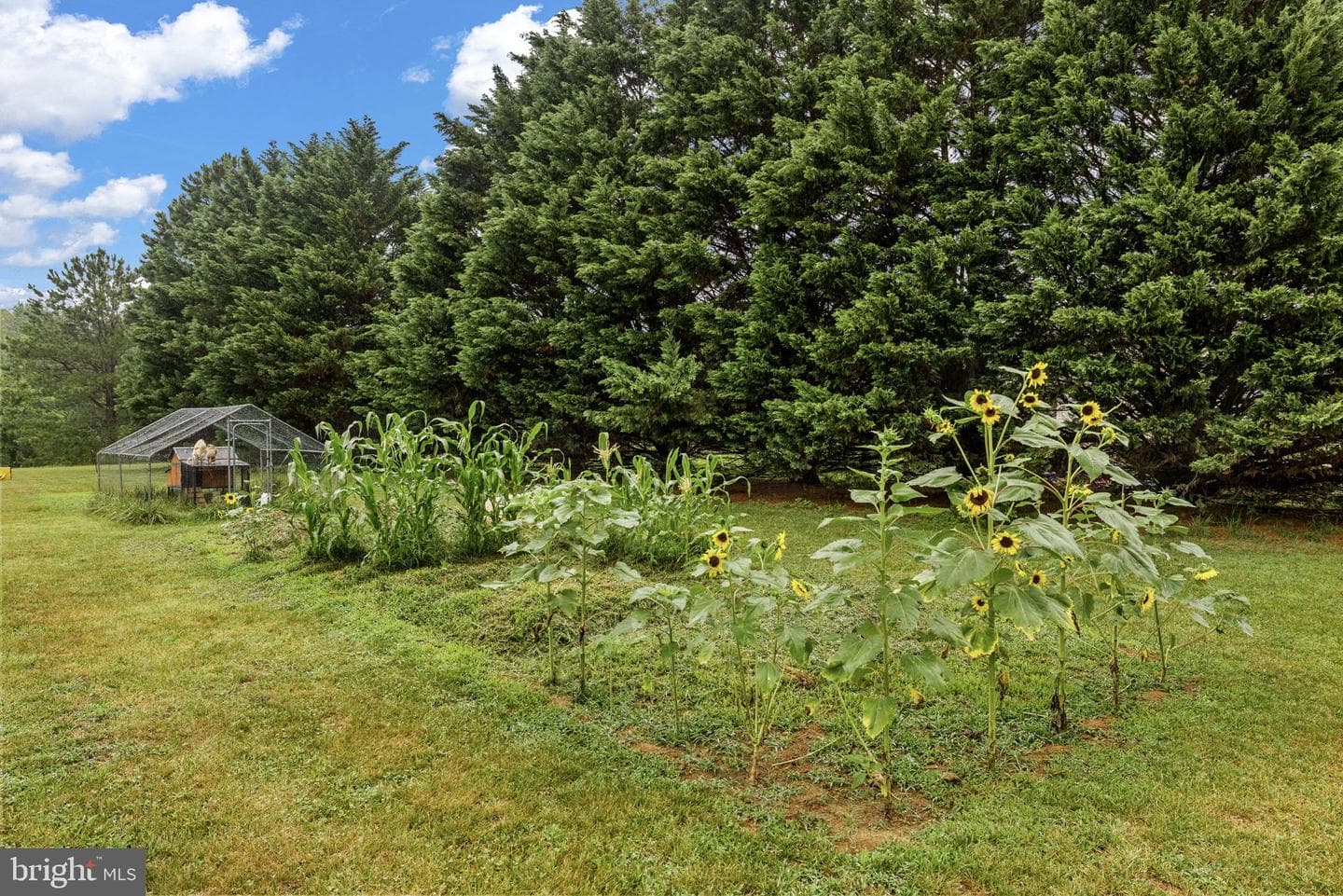 31185 Price Road photo 36