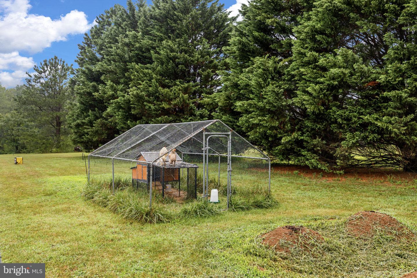 31185 Price Road photo 38
