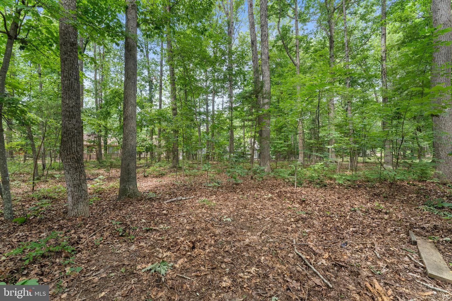 105 Tall Pines Avenue photo 38