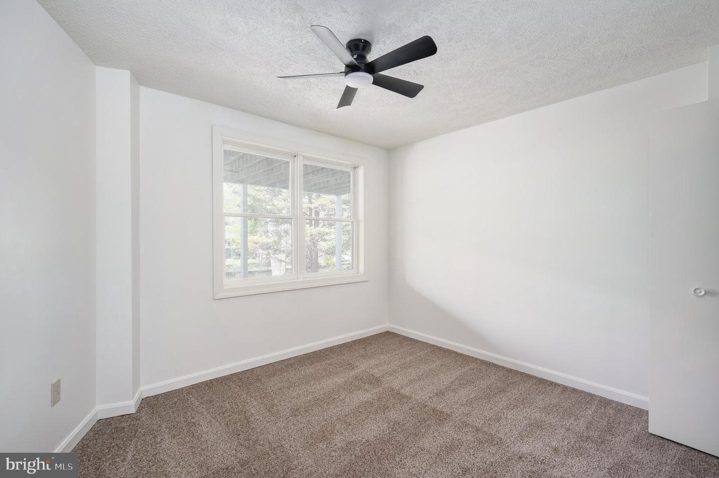119 Larkspur Lane photo 44