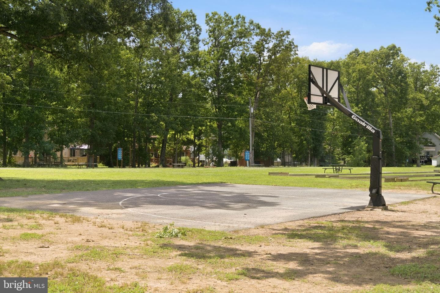 203 Freedom Road photo 78