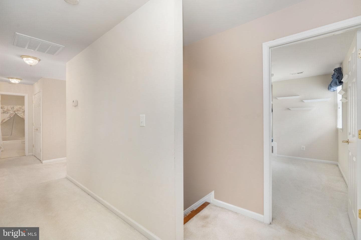 32236 Deep Meadow Lane photo 38