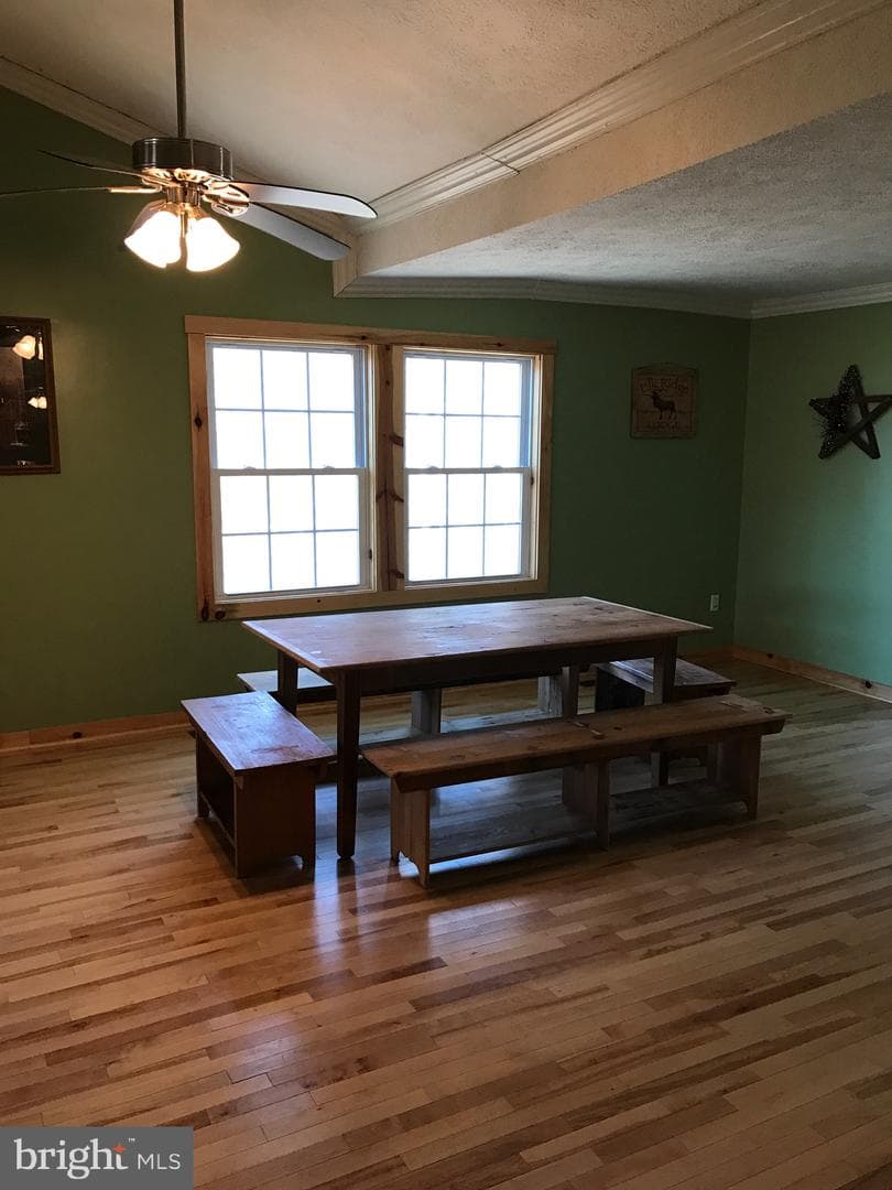 207 Riverview Drive photo 6
