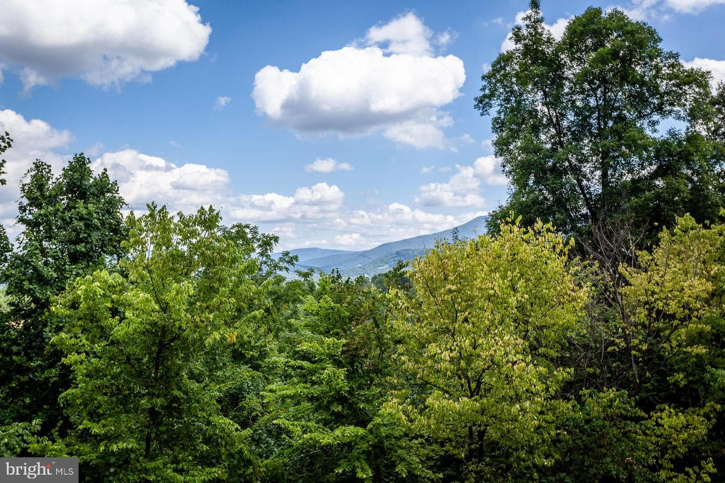 2668 Pine Grove Road photo 8