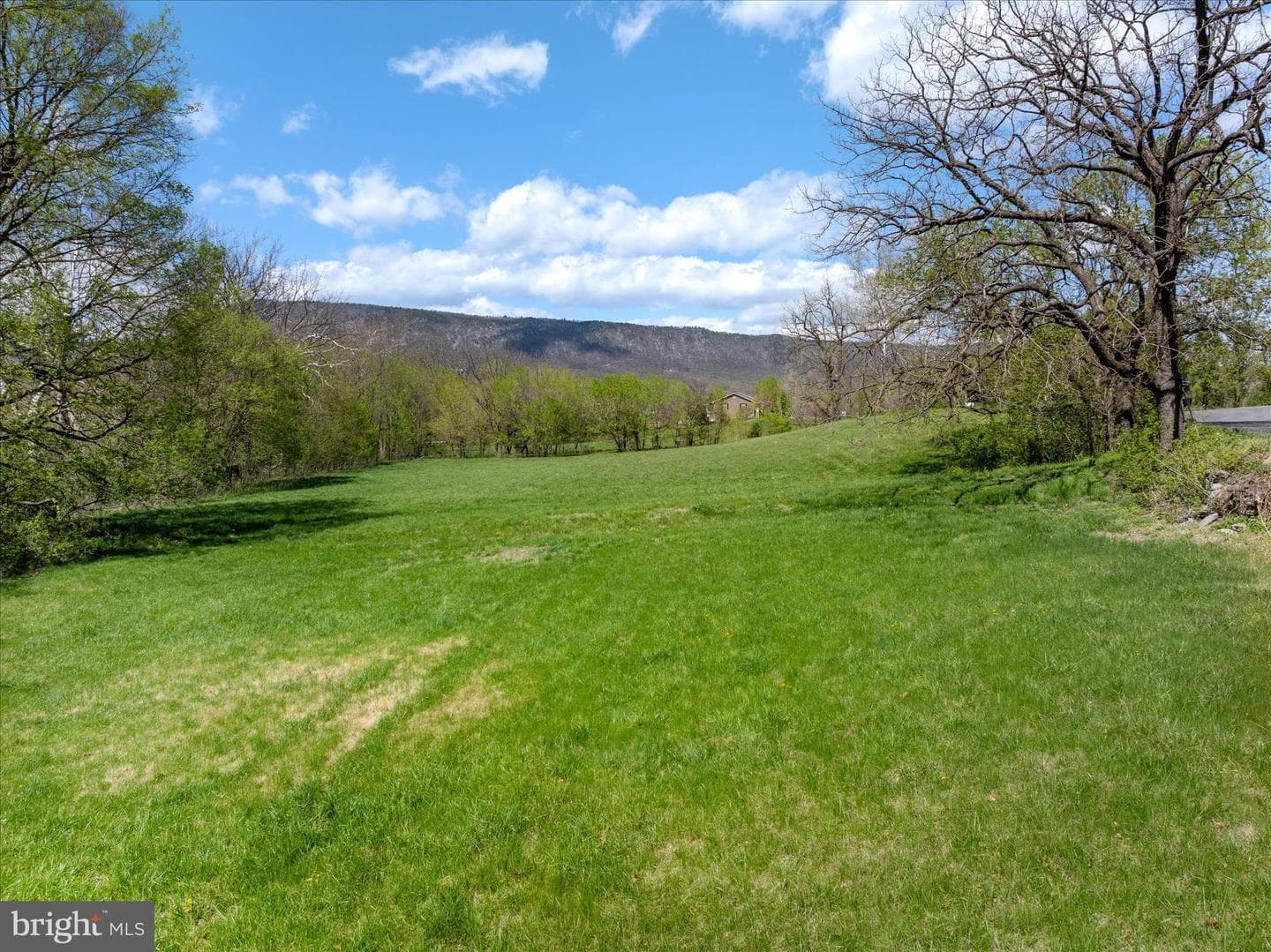 315 Ganders Drive photo 86