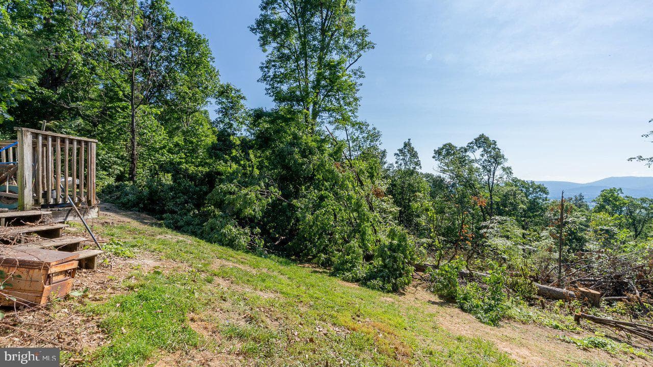 531 Forest Drive Extension photo 17