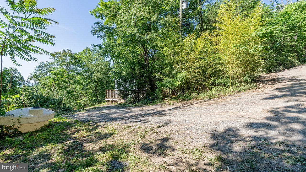 531 Forest Drive Extension photo 8