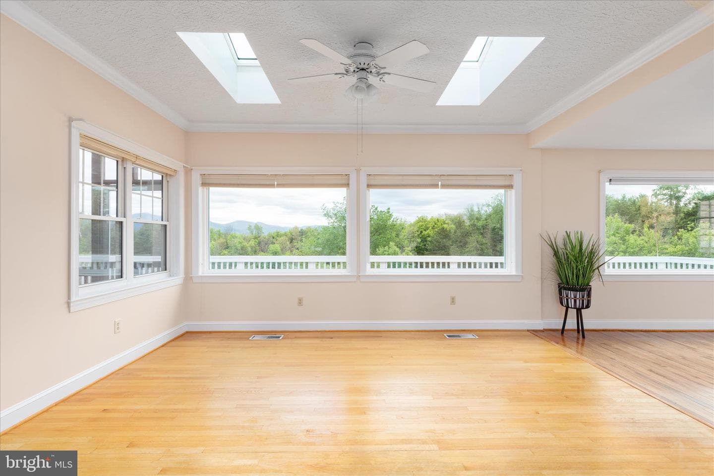 1050 Almond Drive photo 13
