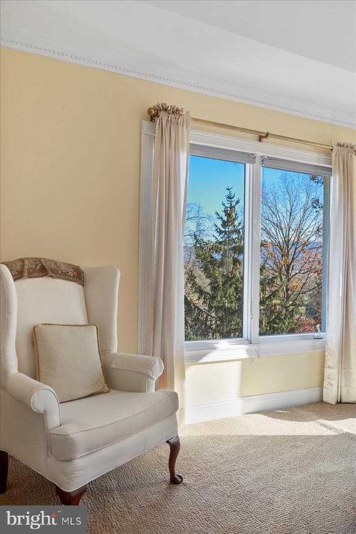 50 Cottage Drive photo 23