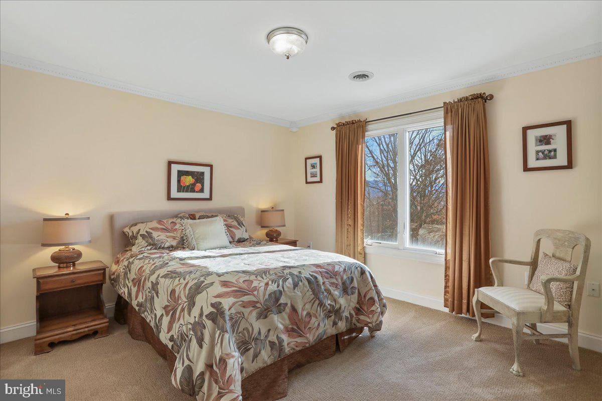50 Cottage Drive photo 33