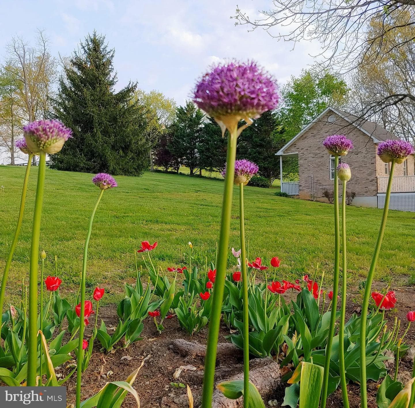 50 Cottage Drive photo 47