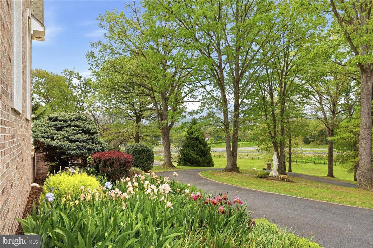 50 Cottage Drive photo 66