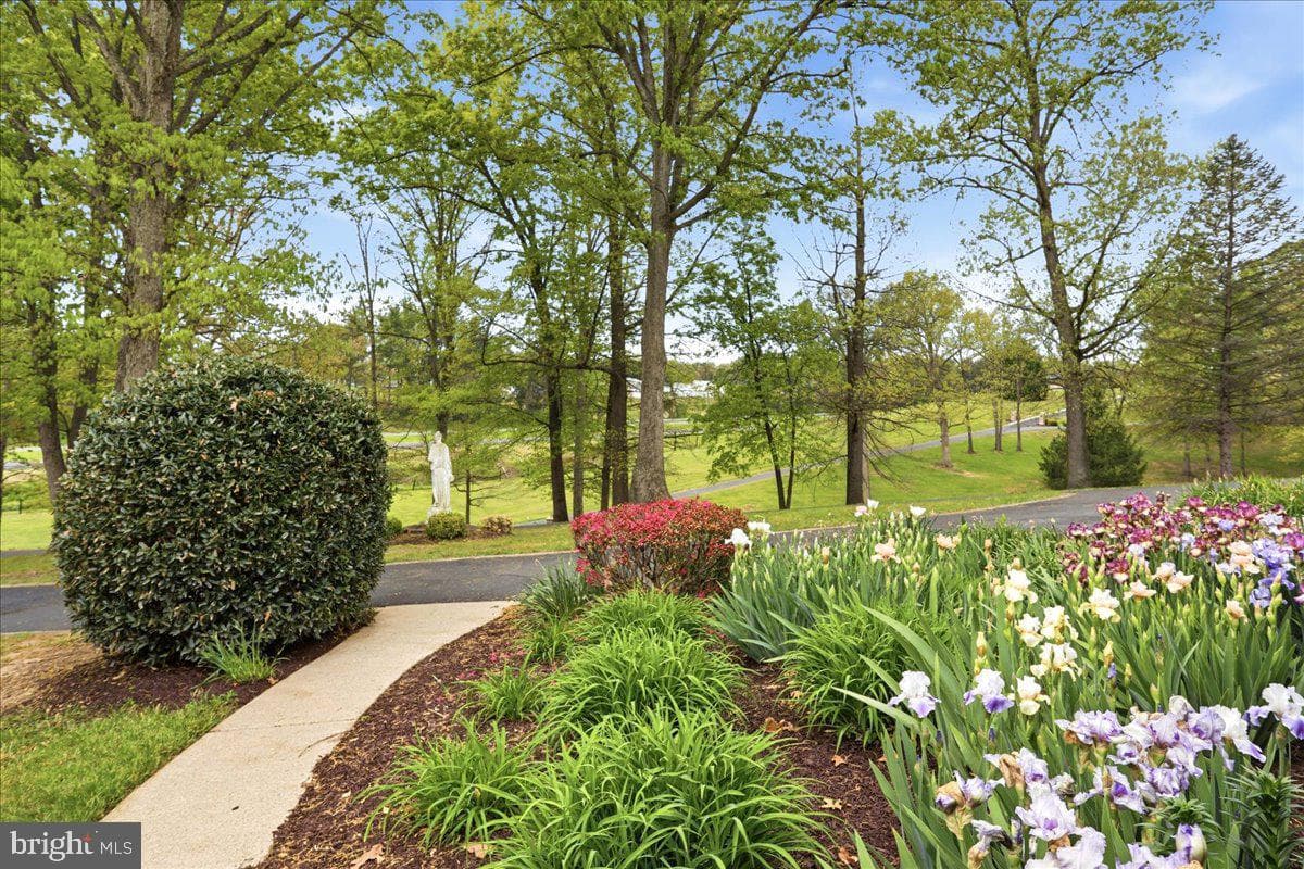 50 Cottage Drive photo 68