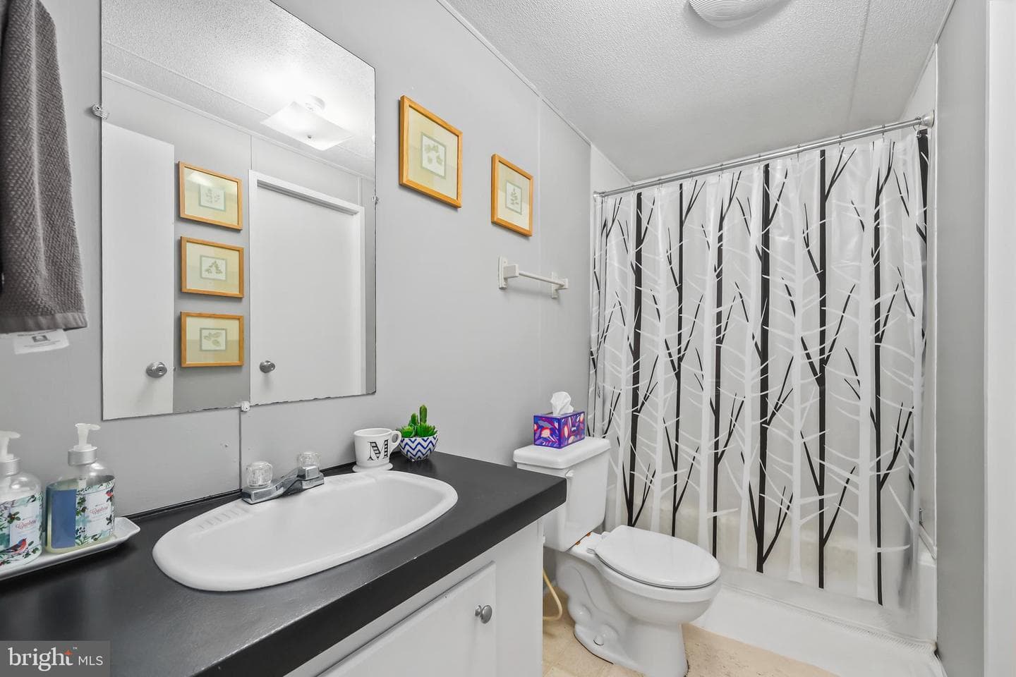 173 Meadow Road photo 13