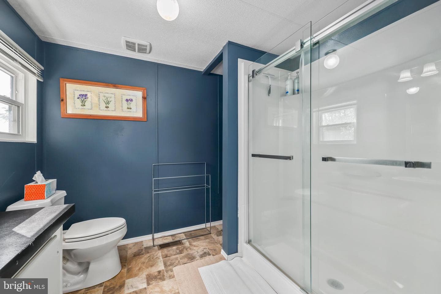 173 Meadow Road photo 19