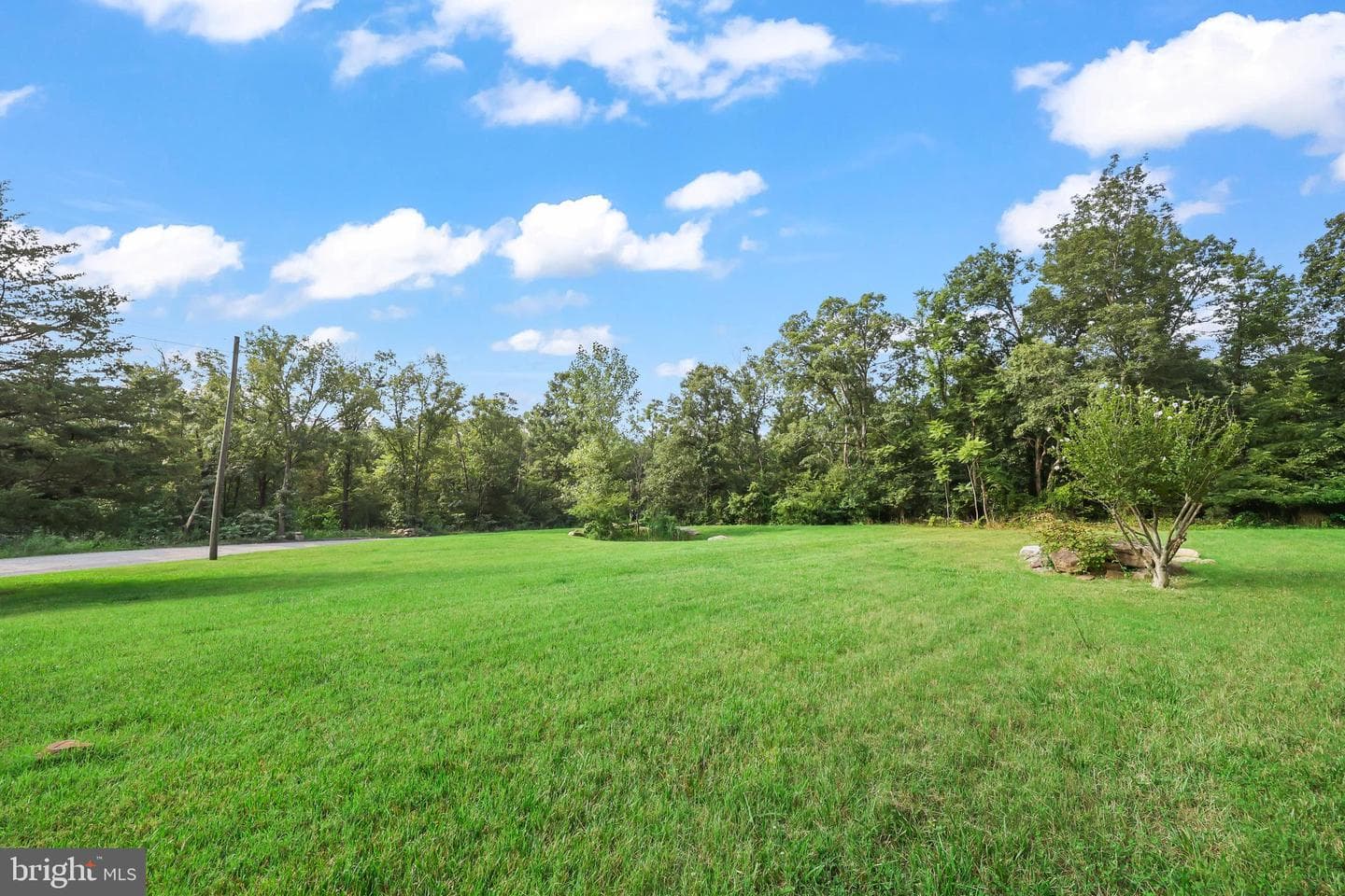 173 Meadow Road photo 33
