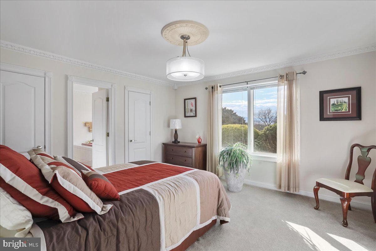 100 Cottage Drive photo 19
