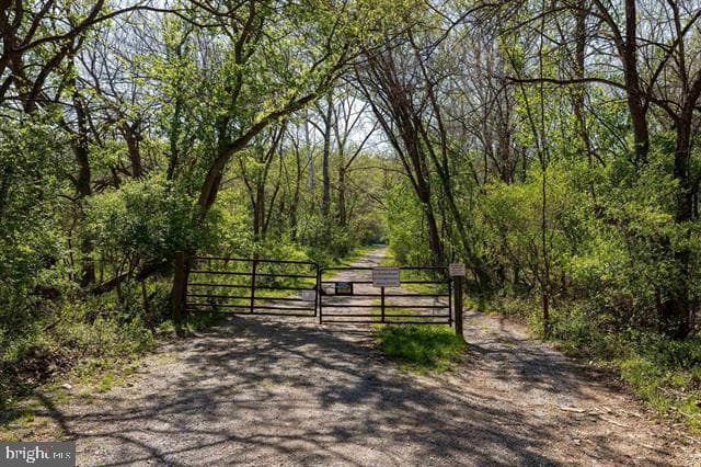 702 Richview Road photo 63