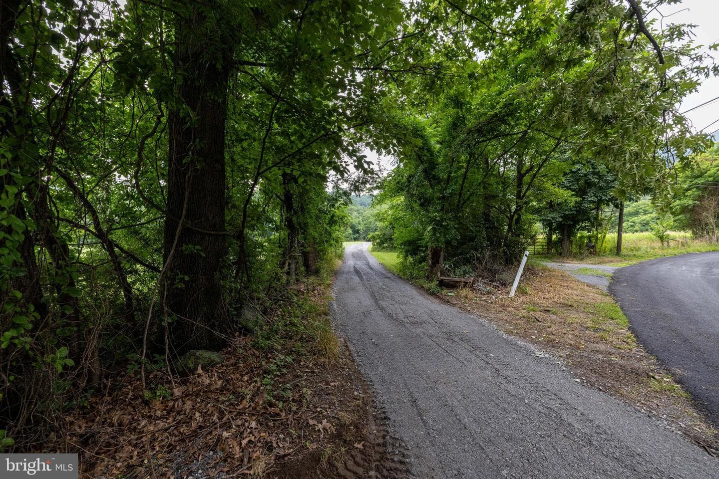 3827 Pine Grove Road photo 49