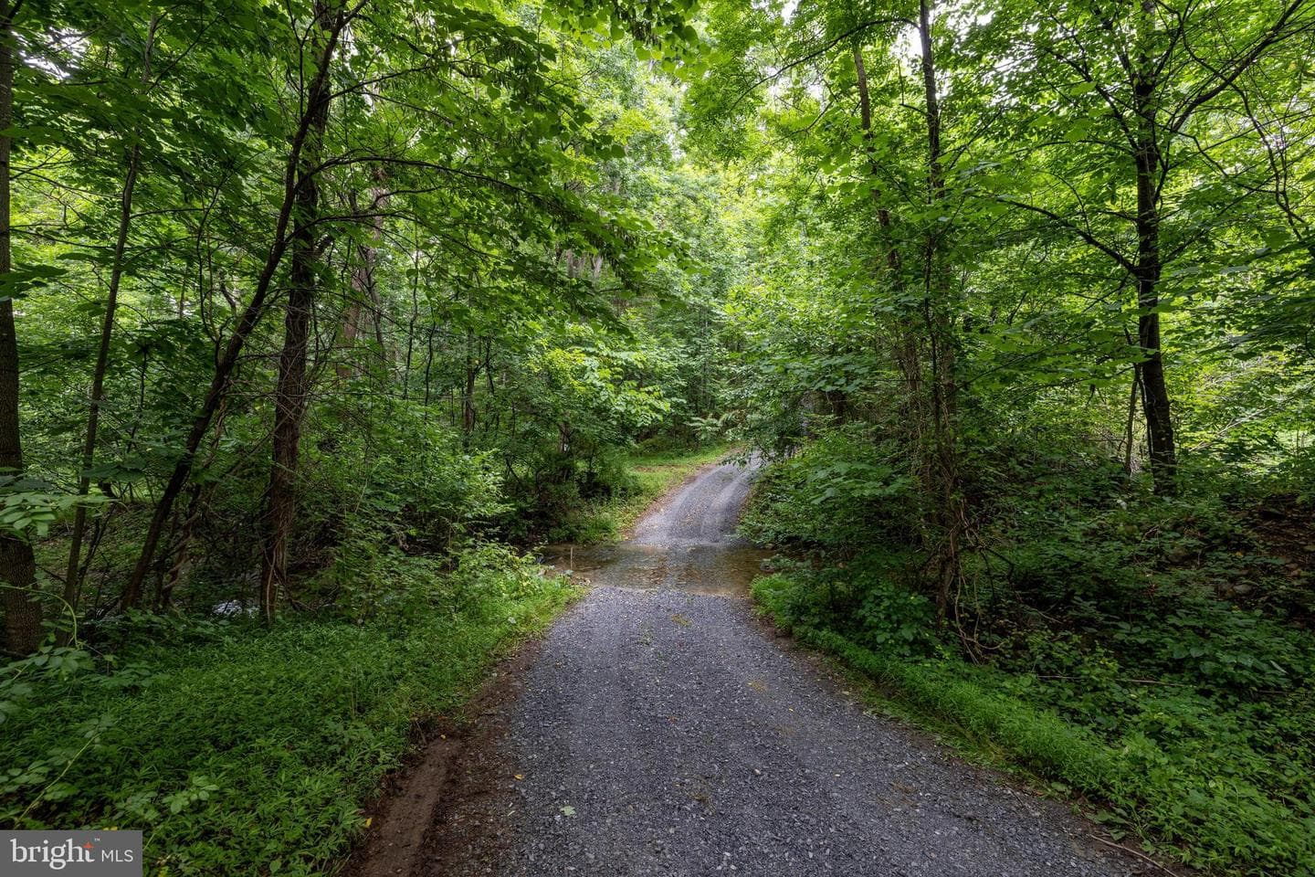 3827 Pine Grove Road photo 52