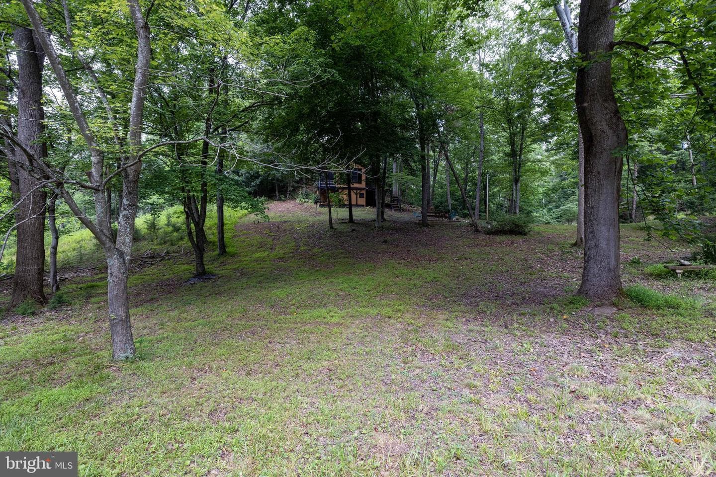 160 Piney Knoll Place photo 42