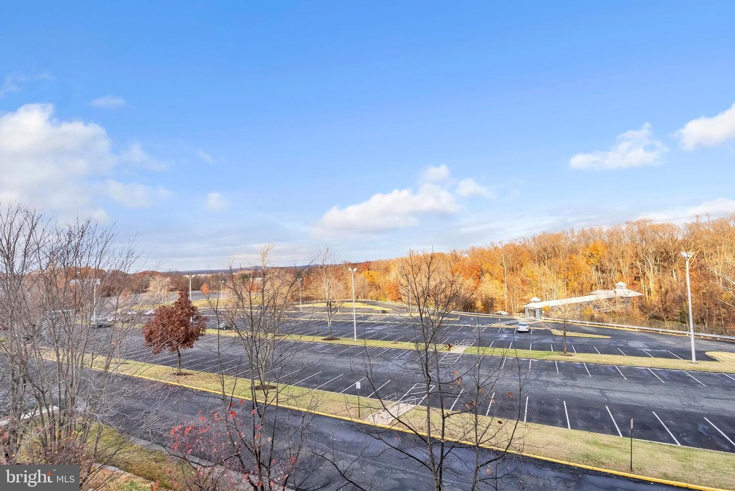 1641 Ladue Court #402 photo 56