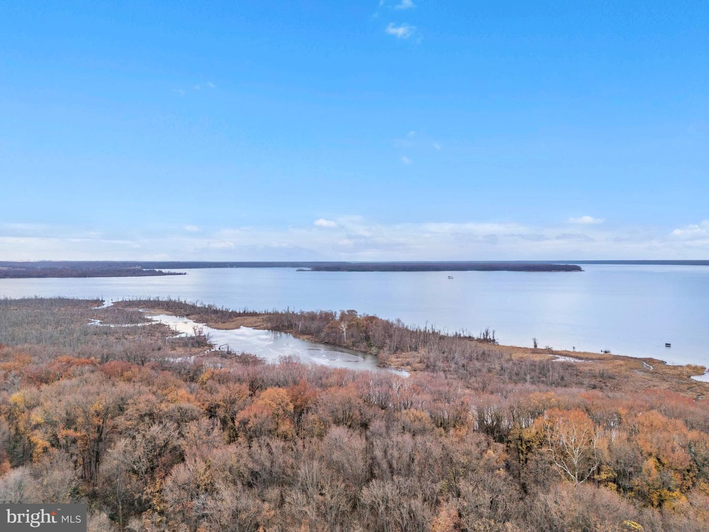 1641 Ladue Court #402 photo 62