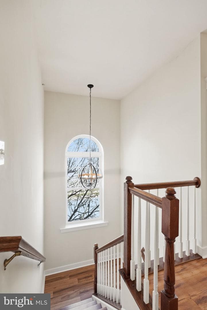 14272 Catbird Drive photo 19