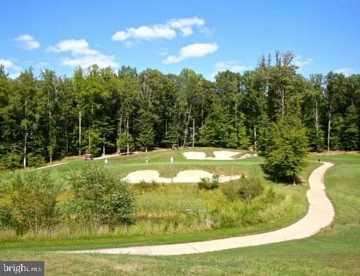 12090 Greatbridge Road photo 69