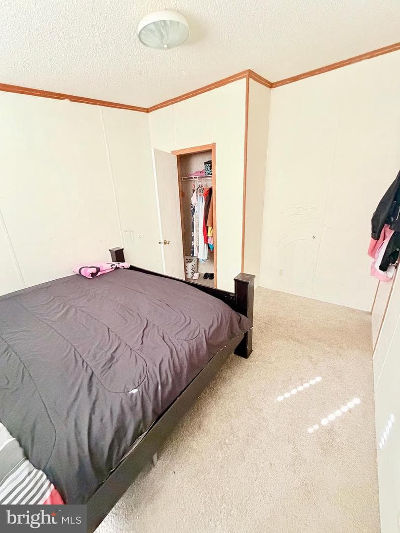 22 Prince William Circle photo 17