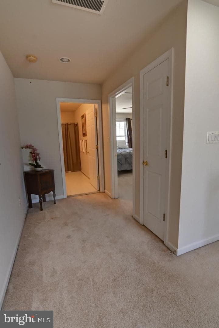 13170 Triple Crown Loop photo 49
