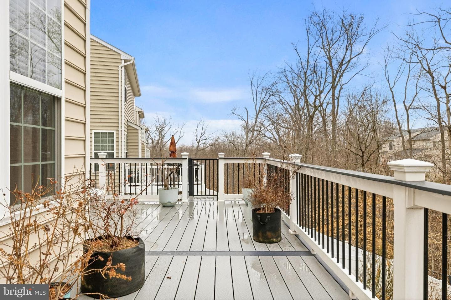 16067 Standing Eagle Court photo 47