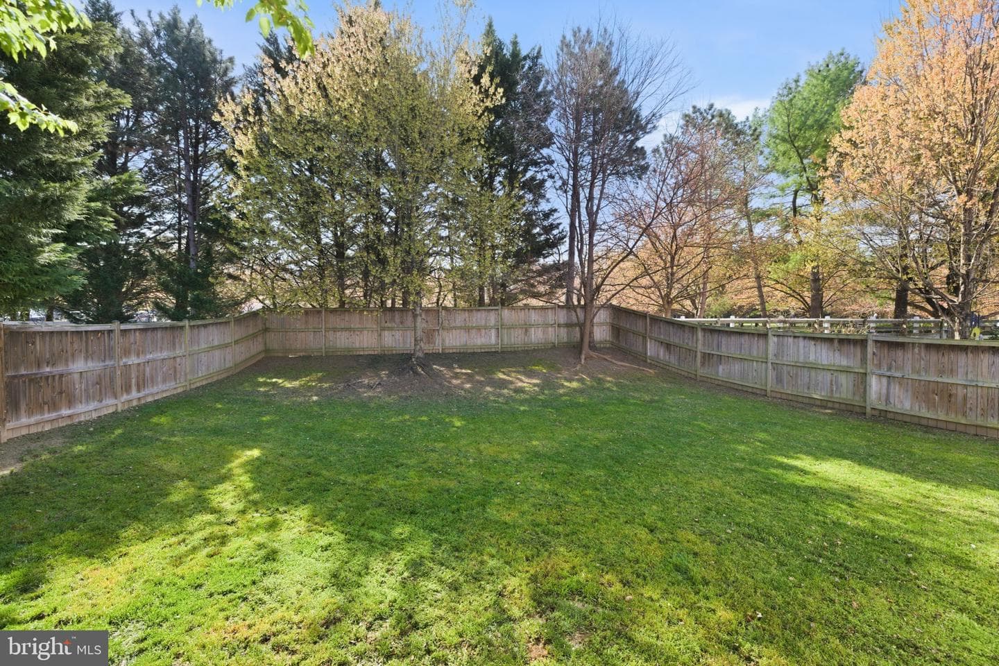 12103 Tamar Court photo 10