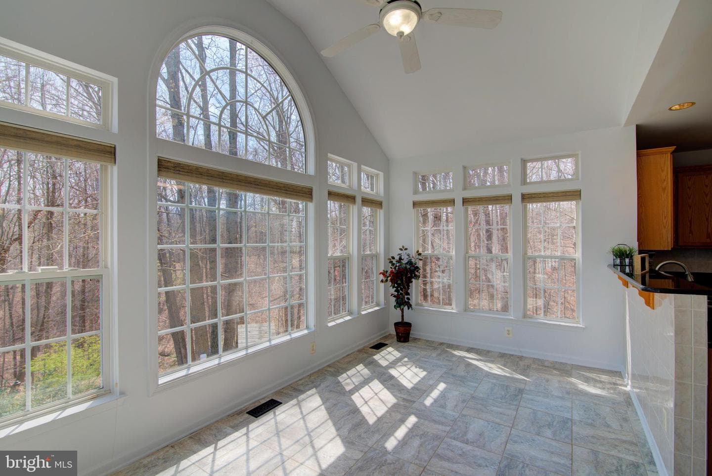 13124 Kinnicutt Drive photo 22
