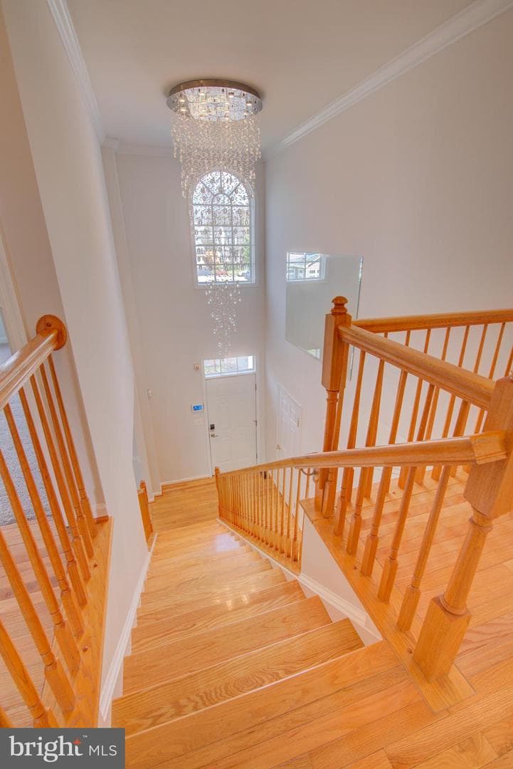 13124 Kinnicutt Drive photo 26