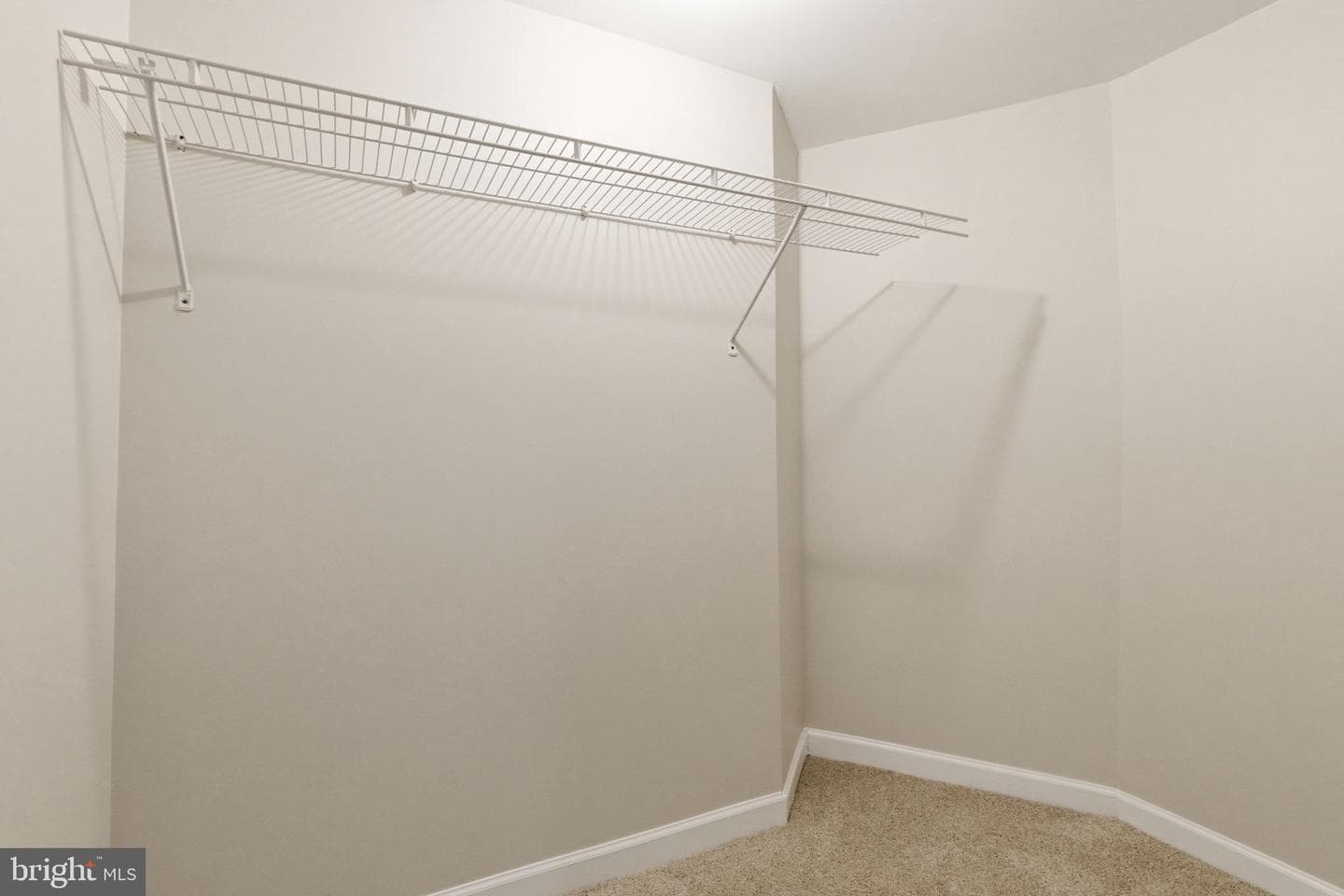 8606 Ellis Ford Place photo 101