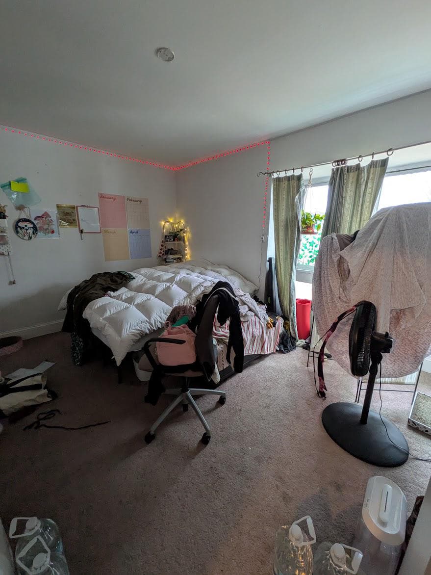 11024 Hiram Court photo 19