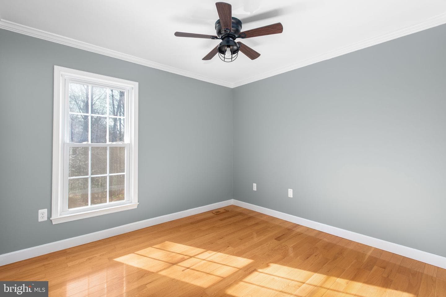 12534 Belfield Court photo 38