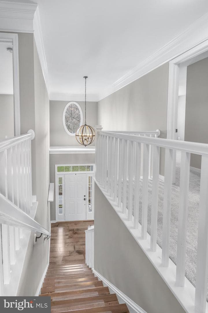 4925 Breeze Way photo 39