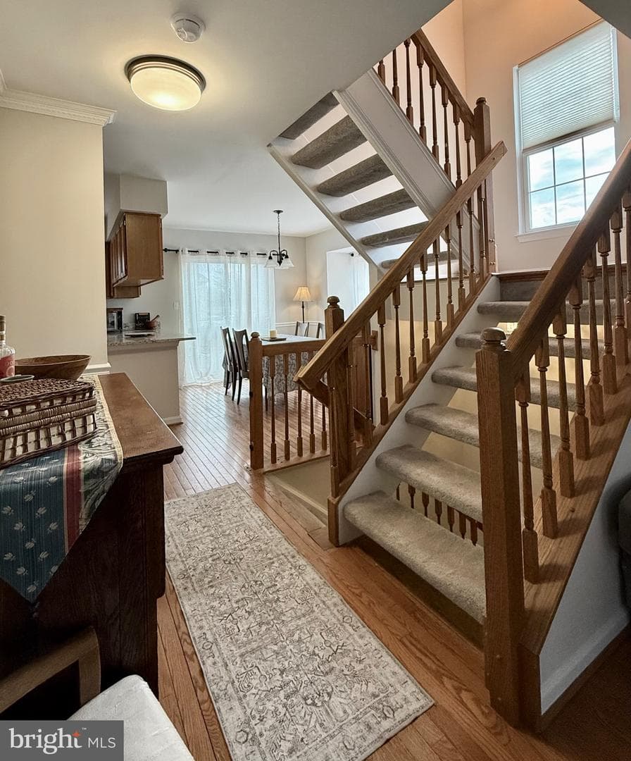 3429 Tuckahoe Court photo 10