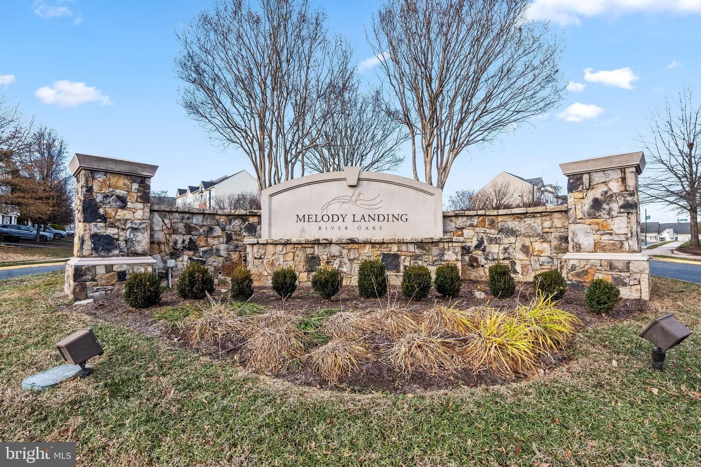 2910 Truffle Oak Place photo 29
