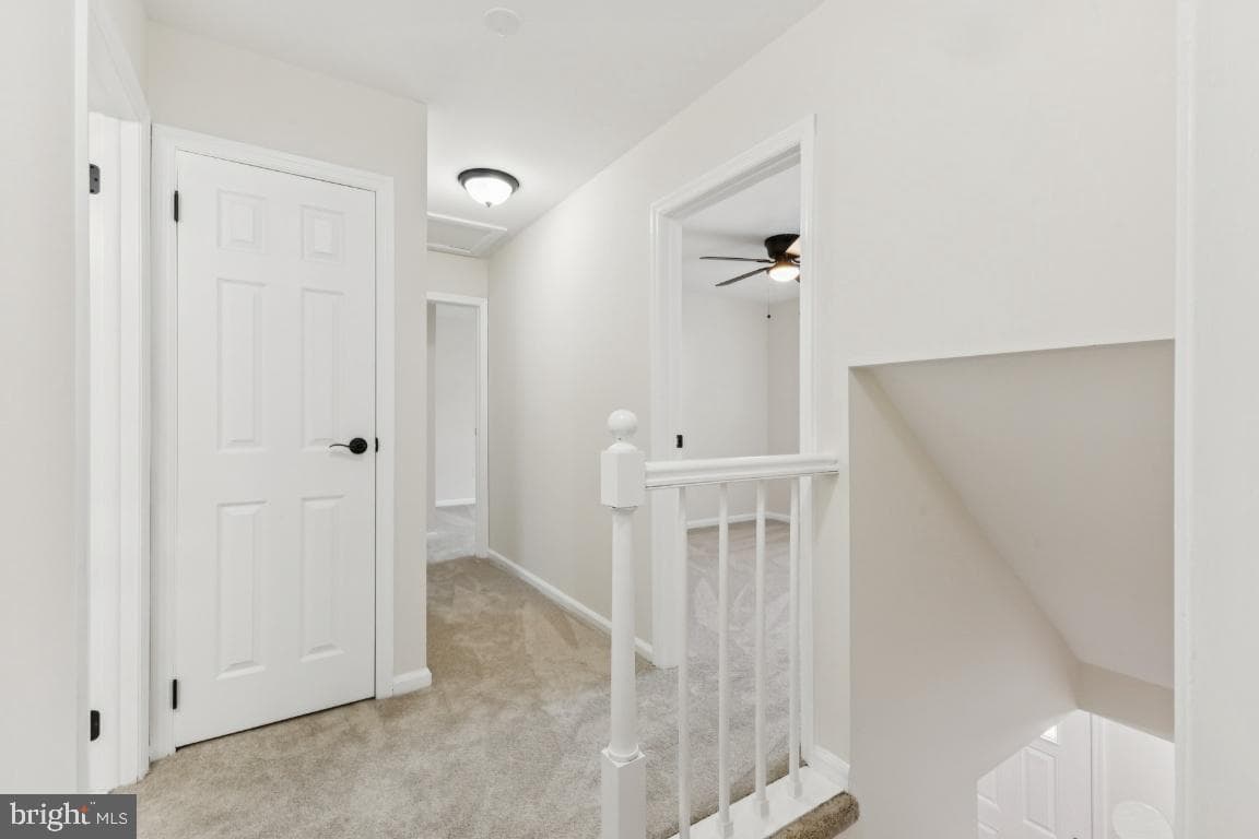 4008 Buckingham Court photo 18