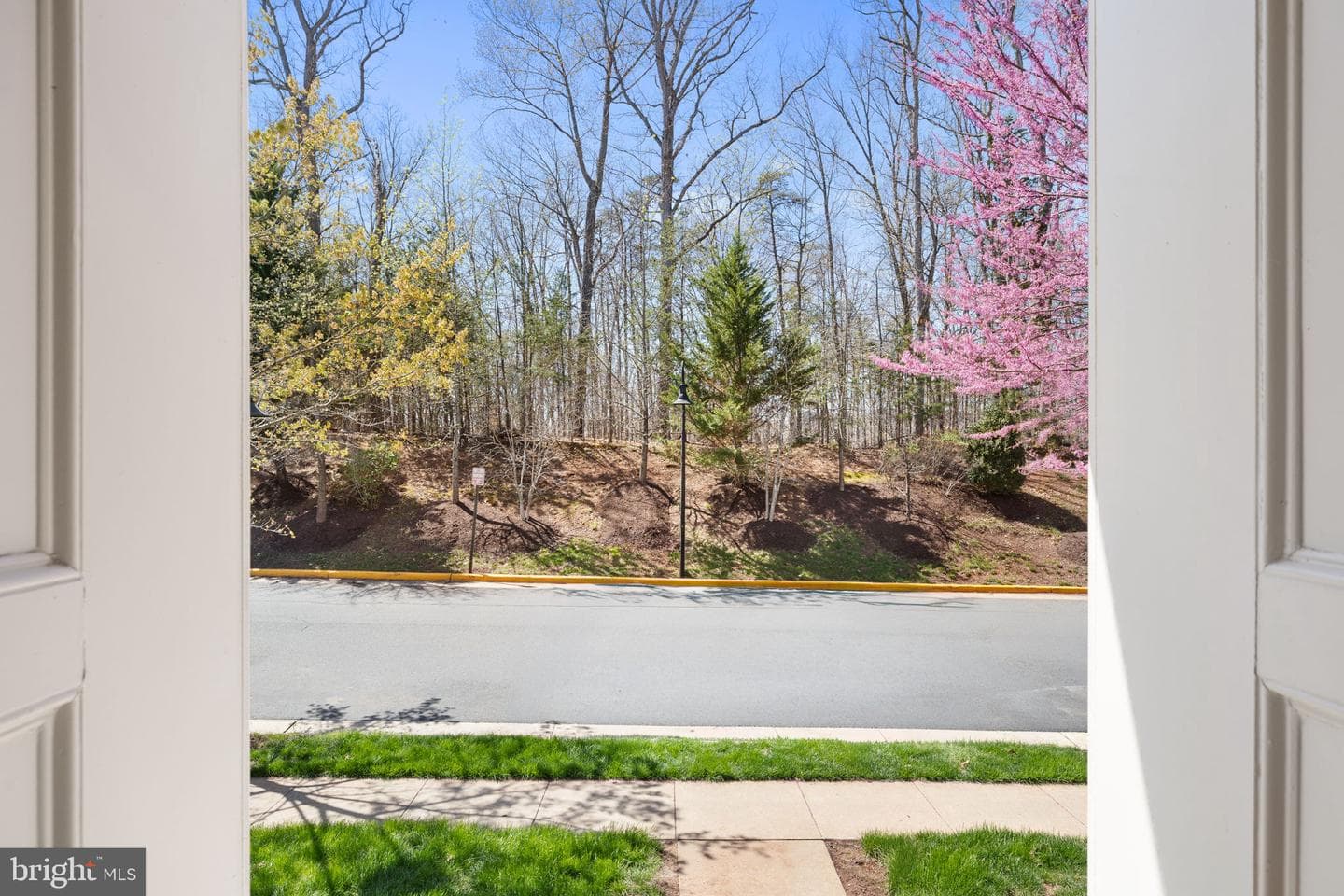 6060 Aster Haven Circle photo 4